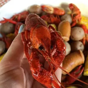 Any last words?  @cajuncafe