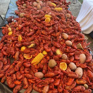 Live crawfish
