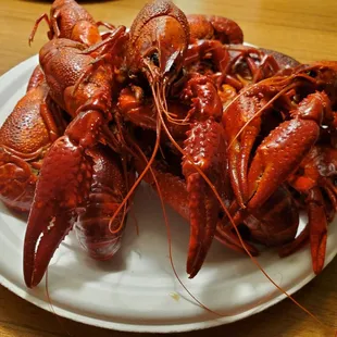 a plate of lobsters