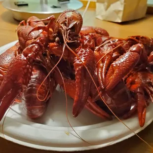a plate of lobsters