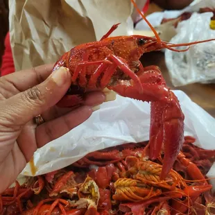 a person holding a lobster