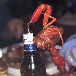a lobster and a beer on a table