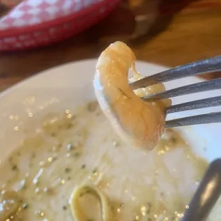 POOP IN SHRIMP !