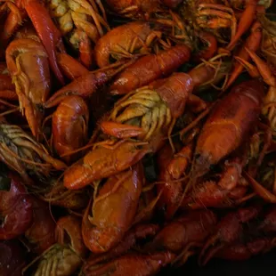 Boiled Crawfish