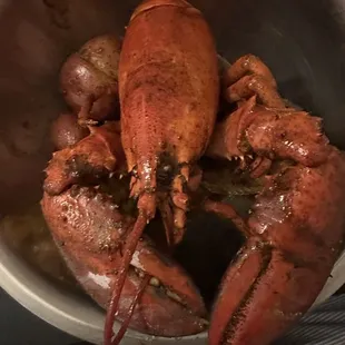 Lobster
