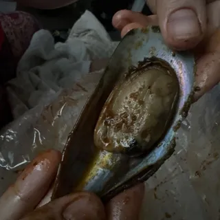 Green Mussels