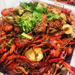 Live crawfish