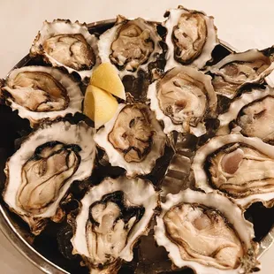 mussels, shellfish, oysters and mussels, oysters, food