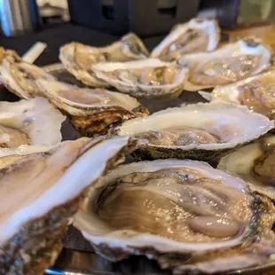 Raw Oysters