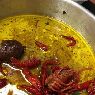 food, curry