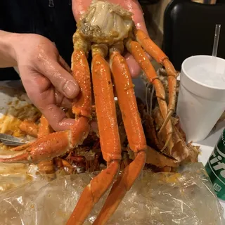 Snow Crab