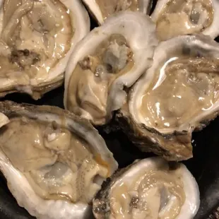 Fresh oysters on the half shell fresh and tasty!