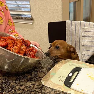 Cajun Crawfish Company