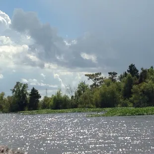 Just one of the views from the boat