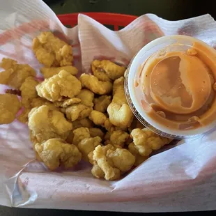 Alligator Bites