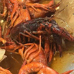 Crawfish
