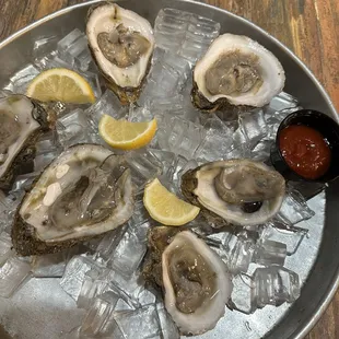 Oysters