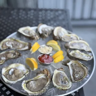 Raw fresh oysters!!