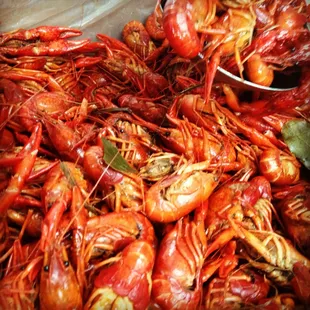 a large pile of craws