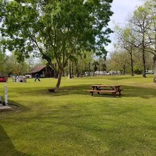 Huge area for kids to run and play.