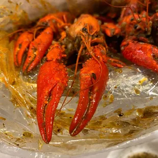 Fresh crawfish from Louisiana