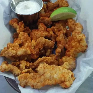Gator Bites