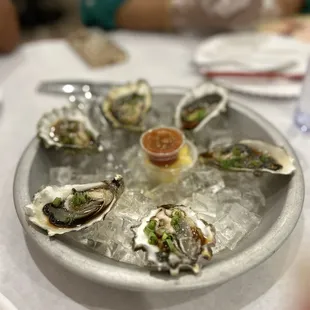 Oysters