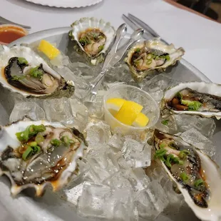 Raw Oysters