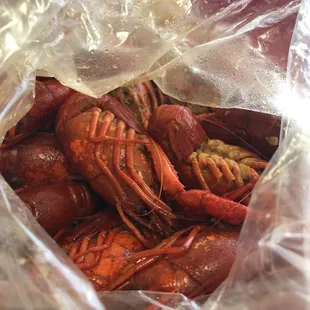 Spicy  crawfish