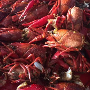 Spicy crawfish