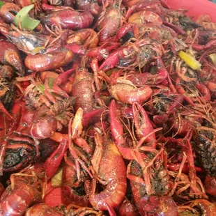 Drove all the way from Houston to NOLA for the best crawfish in town!