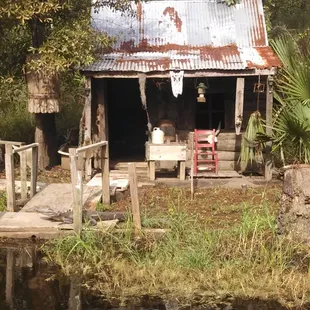Old house with a gator chilling on the front porch