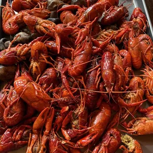 Crawfish