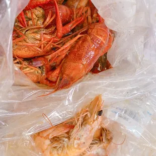 Cajun crawfish and Cajun shrimp head-on