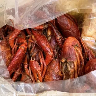 food, oysters and mussels, mussels, shellfish, oysters