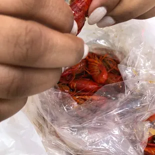 Crawfish boil