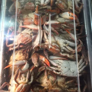 Got Crabs!