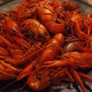 Crawfish