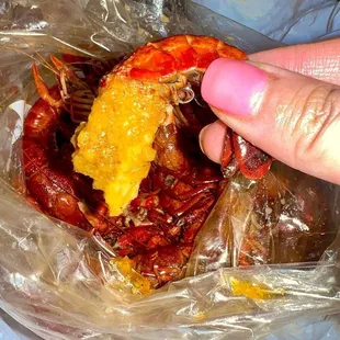 Crawfish