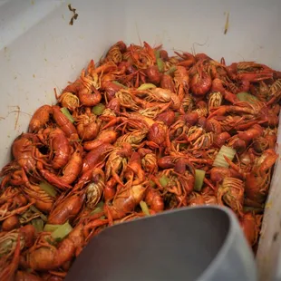 Crawfish