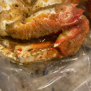 Dungeness Crab