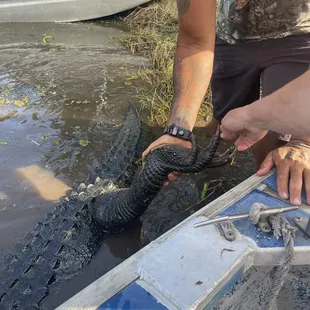 Rocky shaking Big Heads foot
