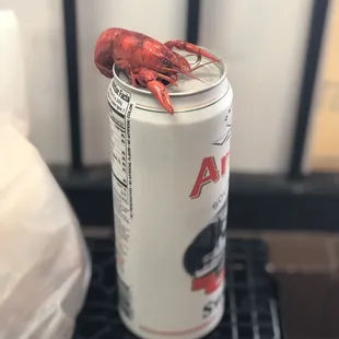 Crawfish