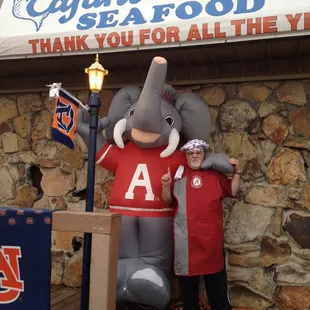 a man and an elephant