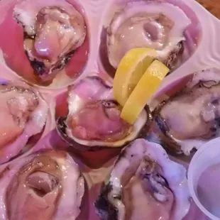 mussels, oysters and mussels, shellfish, oysters, food