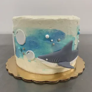 a shark in the ocean