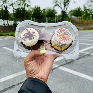 a hand holding two cupcakes