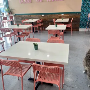 a cat sitting on the floor