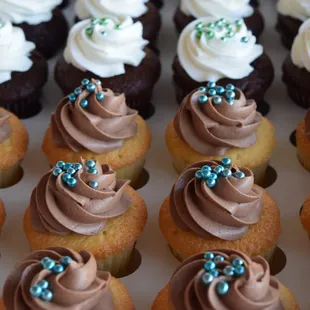 Vanilla and chocolate cupcakes with vanilla buttercream and chocolate buttercream frosting.