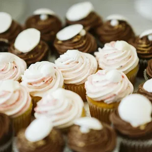 Custom cupcakes (Kat Ma Photography)